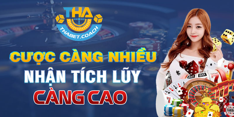 Giới thiệu tổng quan về Thabet